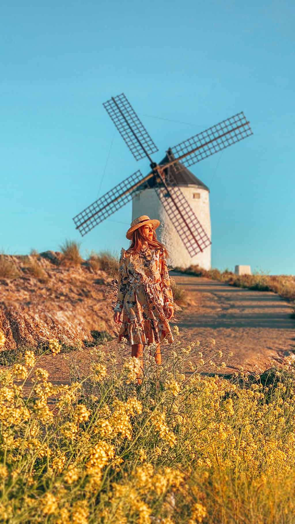 CONSUEGRA MOLINOS